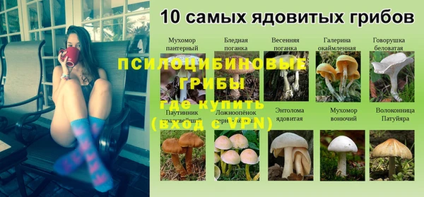 гашик Белокуриха