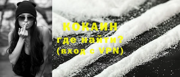 гашик Белокуриха