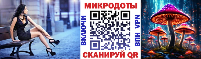 сколько стоит  Йошкар-Ола  Галлюциногенные грибы Psilocybine cubensis 