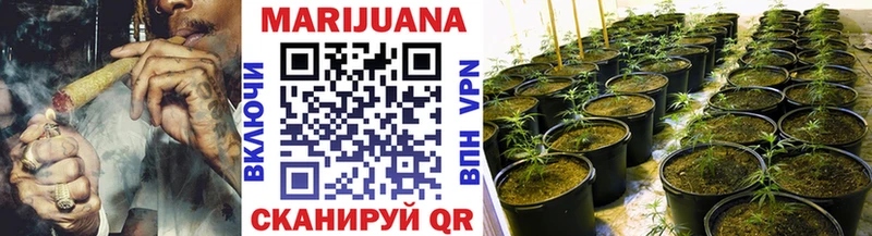 darknet клад  продажа наркотиков  Йошкар-Ола  Канабис тримм 